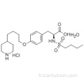 Hydrochlorure de tirofiban monohydraté CAS 150915-40-5